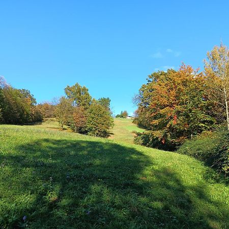 Agriturismo Fattoria Ortoalpino Trichiana Zewnętrze zdjęcie