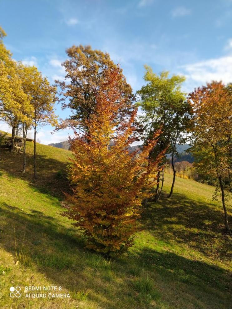 Agriturismo Fattoria Ortoalpino Trichiana Zewnętrze zdjęcie