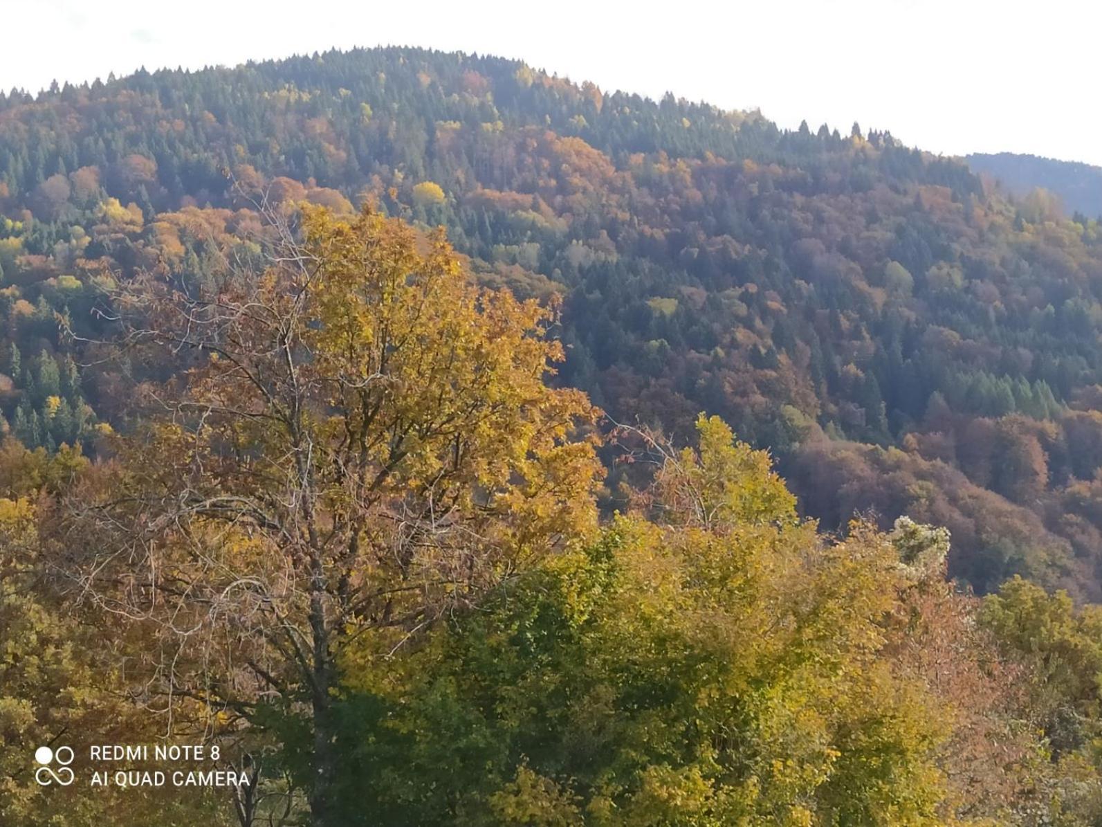 Agriturismo Fattoria Ortoalpino Trichiana Zewnętrze zdjęcie