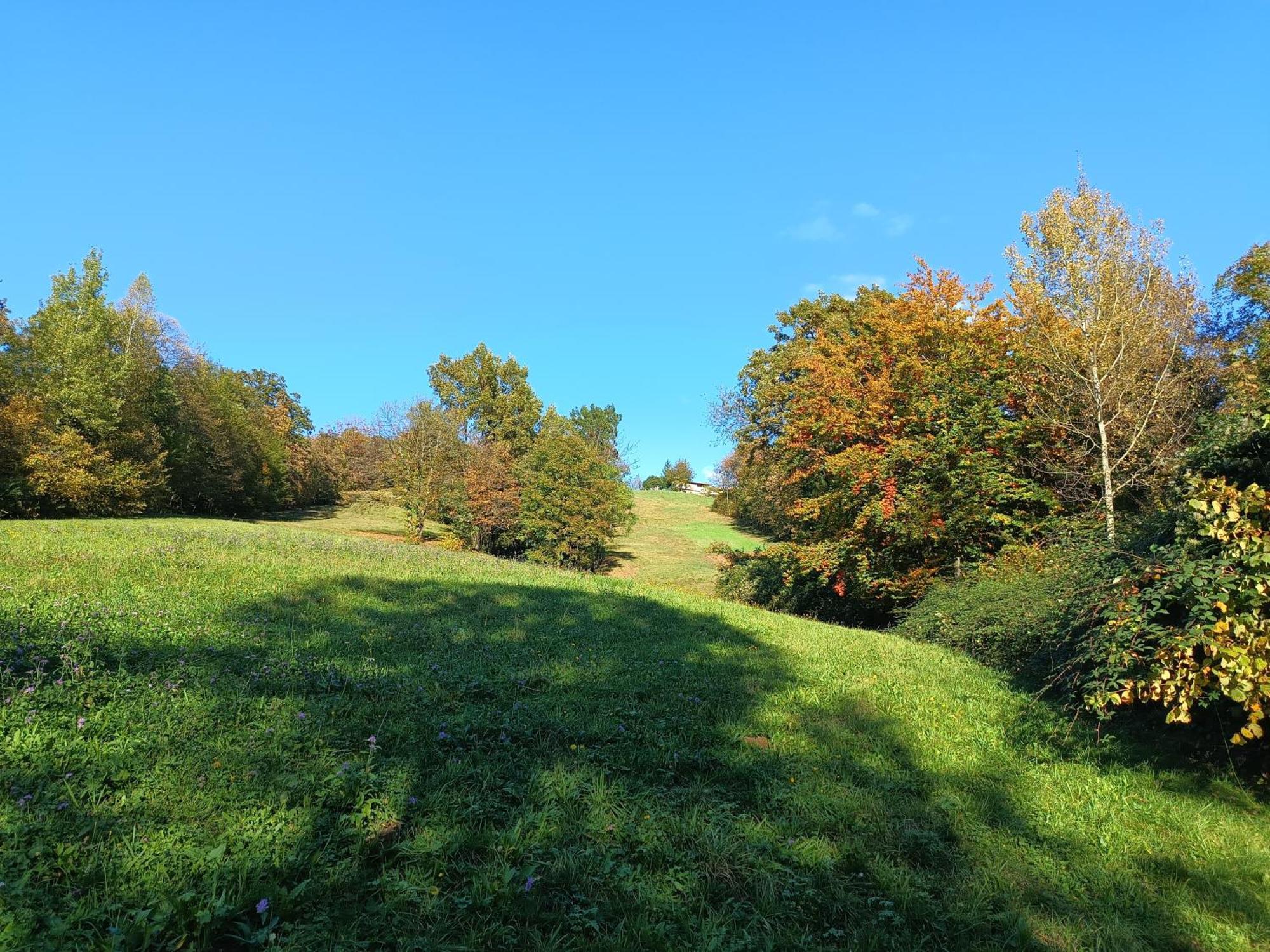 Agriturismo Fattoria Ortoalpino Trichiana Zewnętrze zdjęcie