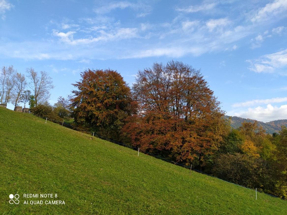 Agriturismo Fattoria Ortoalpino Trichiana Zewnętrze zdjęcie