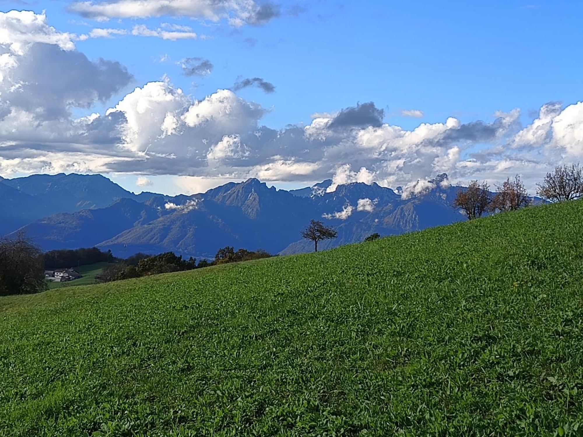 Agriturismo Fattoria Ortoalpino Trichiana Zewnętrze zdjęcie