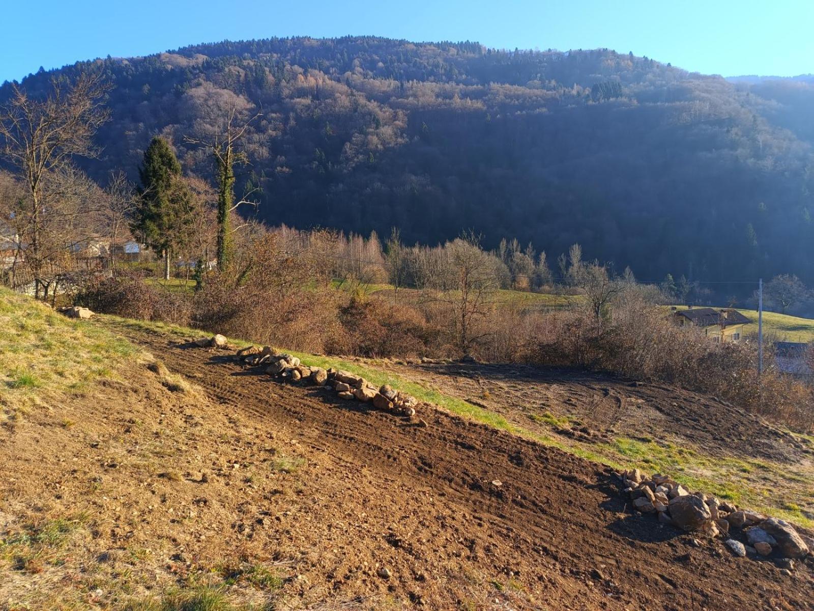Agriturismo Fattoria Ortoalpino Trichiana Zewnętrze zdjęcie
