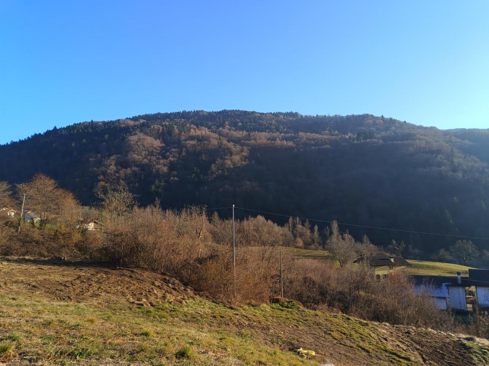 Agriturismo Fattoria Ortoalpino Trichiana Zewnętrze zdjęcie