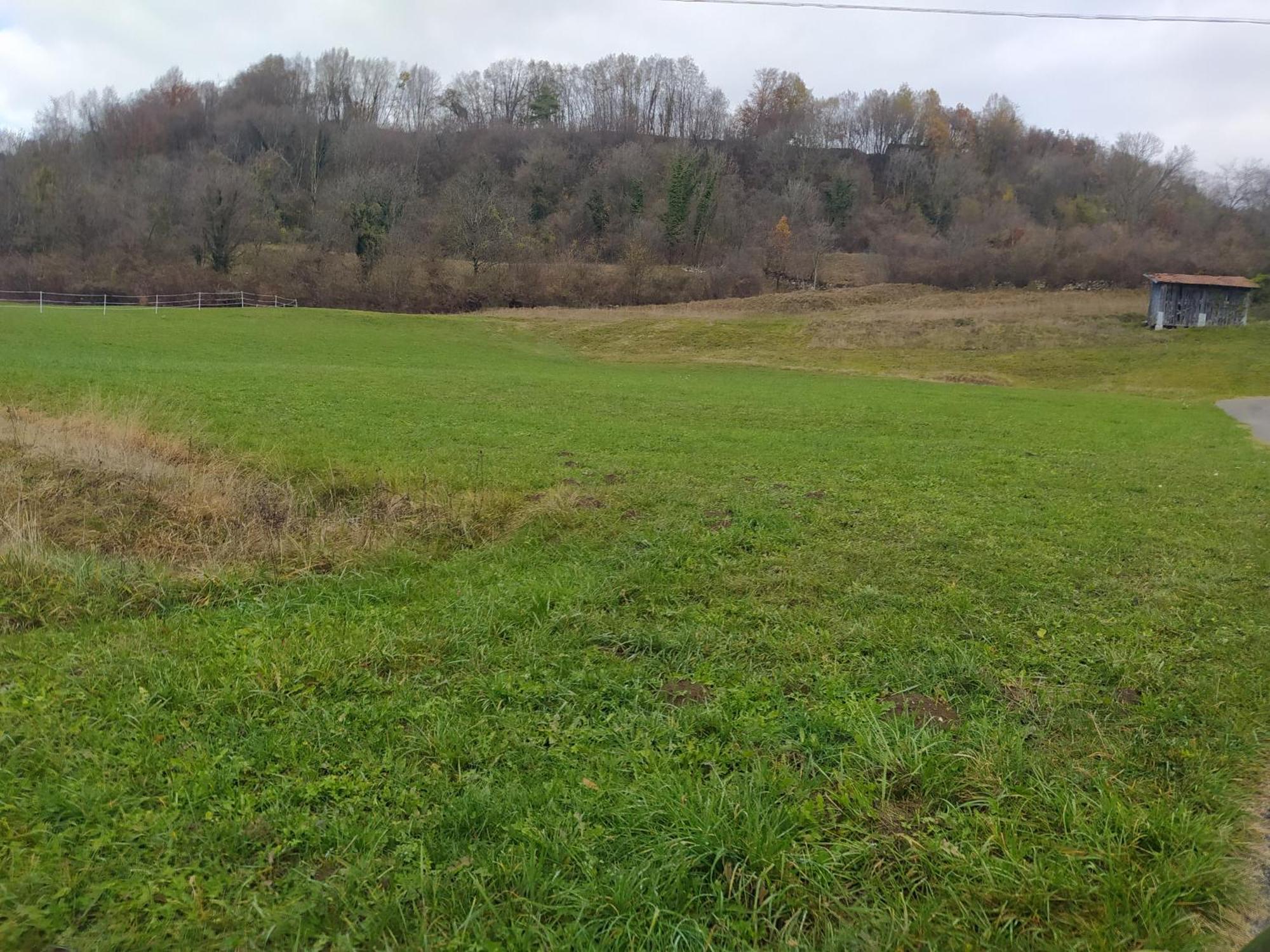 Agriturismo Fattoria Ortoalpino Trichiana Zewnętrze zdjęcie