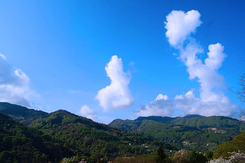Agriturismo Fattoria Ortoalpino Trichiana Zewnętrze zdjęcie