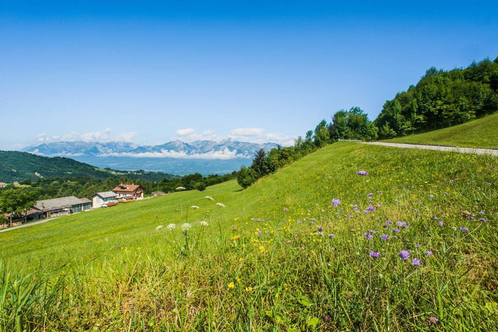 Agriturismo Fattoria Ortoalpino Trichiana Zewnętrze zdjęcie