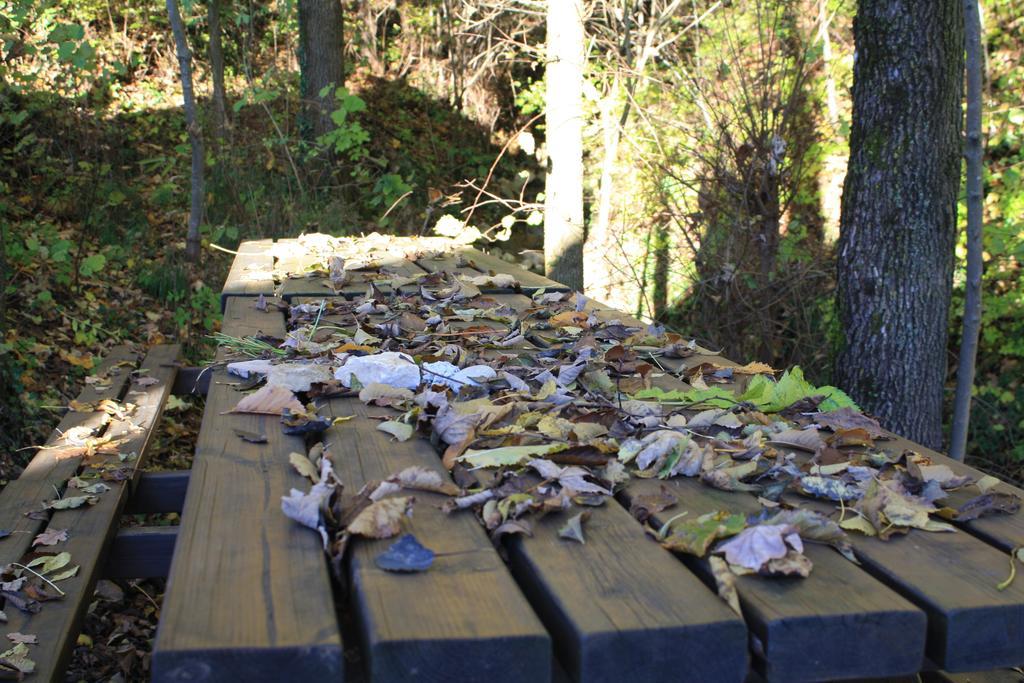 Agriturismo Fattoria Ortoalpino Trichiana Zewnętrze zdjęcie