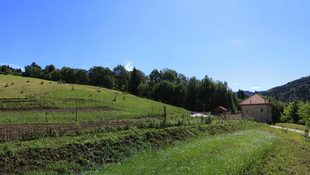 Agriturismo Fattoria Ortoalpino Trichiana Zewnętrze zdjęcie